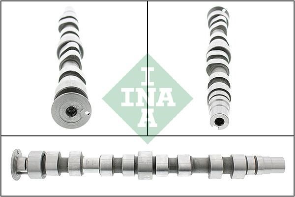 INA 428 0174 10 Camshaft 428017410: Buy near me in Poland at 2407.PL - Good price!