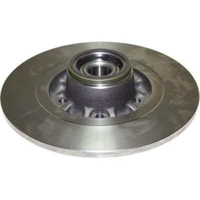 Birth 3492 Rear brake disc, non-ventilated 3492: Buy near me at 2407.PL in Poland at an Affordable price!