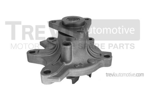 Trevi automotive TP964 Pompa wodna TP964: Dobra cena w Polsce na 2407.PL - Kup Teraz!