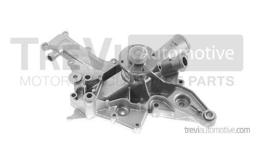 Trevi automotive TP810 Water pump TP810: Buy near me in Poland at 2407.PL - Good price!