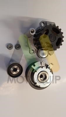 Motorquip LVTTP111 TIMING BELT KIT WITH WATER PUMP LVTTP111: Buy near me in Poland at 2407.PL - Good price!