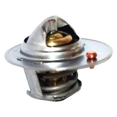 We Parts 421150427 Thermostat, coolant 421150427: Buy near me in Poland at 2407.PL - Good price!