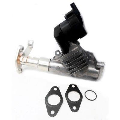 We Parts 330690348 EGR Valve 330690348: Buy near me in Poland at 2407.PL - Good price!