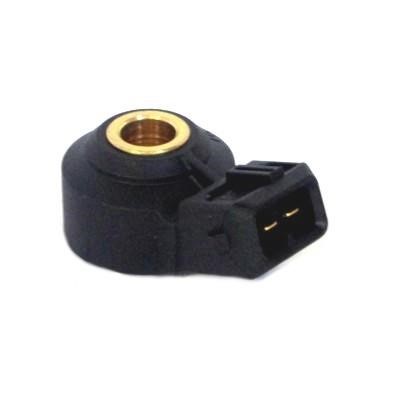 We Parts 411790071 Knock sensor 411790071: Buy near me in Poland at 2407.PL - Good price!