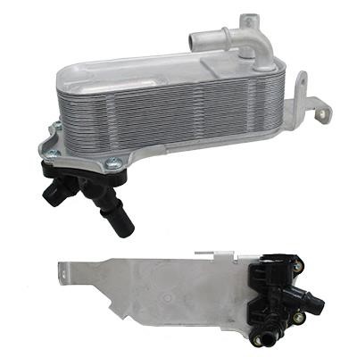 We Parts 381590291 Oil Cooler, engine oil 381590291: Buy near me in Poland at 2407.PL - Good price!