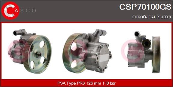 Casco CSP70100GS Hydraulikpumpe, Lenkung CSP70100GS: Kaufen Sie zu einem guten Preis in Polen bei 2407.PL!