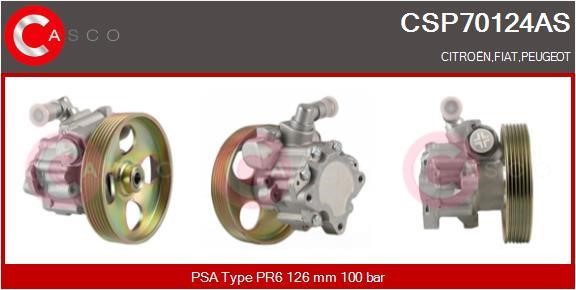 Casco CSP70124AS Hydraulic Pump, steering system CSP70124AS: Buy near me in Poland at 2407.PL - Good price!