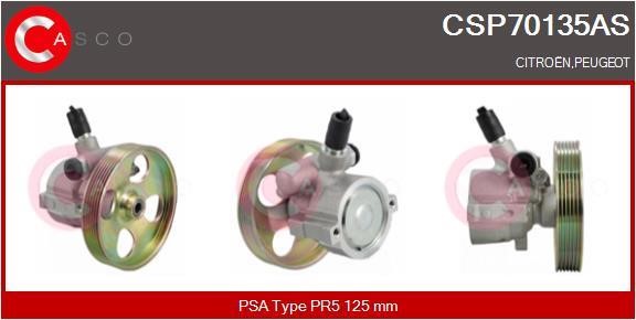 Casco CSP70135AS Pompa hydrauliczna, układ kierowniczy CSP70135AS: Atrakcyjna cena w Polsce na 2407.PL - Zamów teraz!