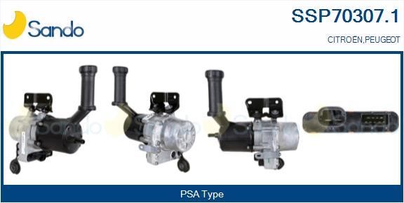 Sando SSP70307.1 Hydraulic Pump, steering system SSP703071: Buy near me in Poland at 2407.PL - Good price!