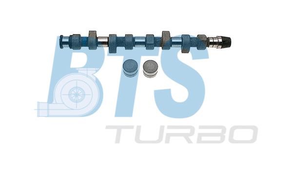 BTS Turbo CP60213 Camshaft set CP60213: Buy near me in Poland at 2407.PL - Good price!