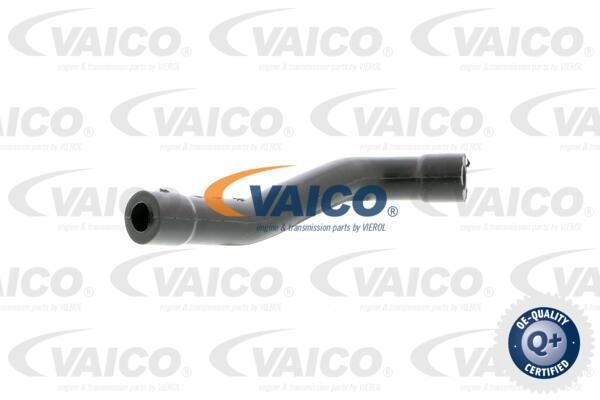 Vaico V3009021 Breather Hose for crankcase V3009021: Buy near me in Poland at 2407.PL - Good price!