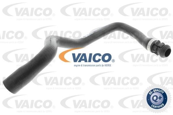 Vaico V303148 Шланг радиатора V303148: Отличная цена - Купить в Польше на 2407.PL!