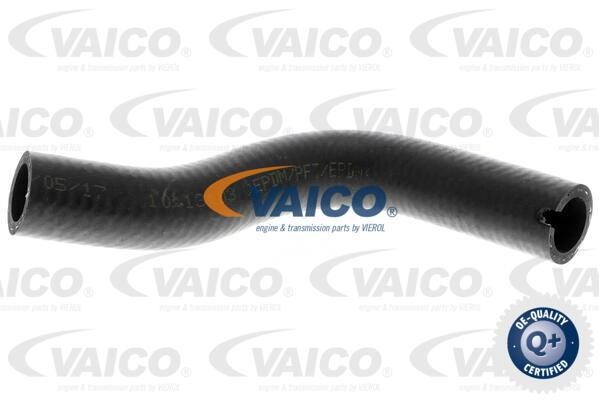 Vaico V240726 Charger Air Hose V240726: Buy near me in Poland at 2407.PL - Good price!