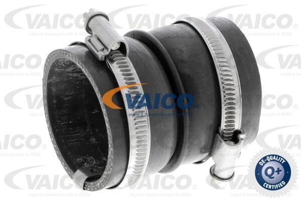 Vaico V420574 Charger Air Hose V420574: Buy near me in Poland at 2407.PL - Good price!
