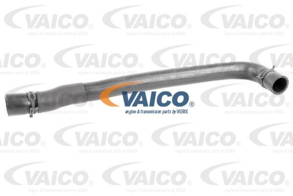 Vaico V202949 Kühlrohr V202949: Kaufen Sie zu einem guten Preis in Polen bei 2407.PL!