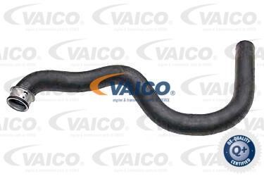 Vaico V30-2624 Radiator hose V302624: Buy near me in Poland at 2407.PL - Good price!