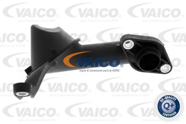 Vaico V10-6987 Oil receiver V106987: Buy near me in Poland at 2407.PL - Good price!