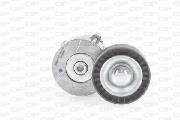 Open parts ACT2207.00 Idler roller ACT220700: Buy near me in Poland at 2407.PL - Good price!