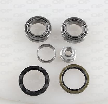 Open parts HBK5055.00 Wheel bearing kit HBK505500: Buy near me in Poland at 2407.PL - Good price!