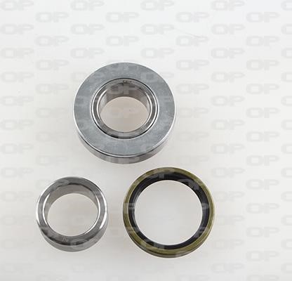 Open parts HBK5116.00 Wheel bearing kit HBK511600: Buy near me in Poland at 2407.PL - Good price!