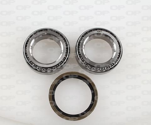 Open parts HBK5065.01 Wheel bearing kit HBK506501: Buy near me in Poland at 2407.PL - Good price!