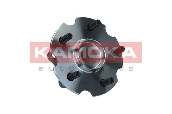 Kamoka 5500293 Wheel hub with rear bearing 5500293: Buy near me at 2407.PL in Poland at an Affordable price!