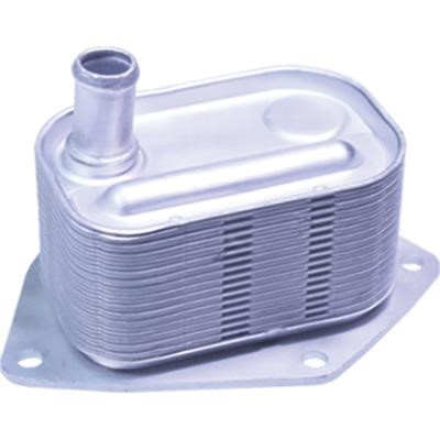 Birth 80124 Oil cooler 80124: Buy near me at 2407.PL in Poland at an Affordable price!