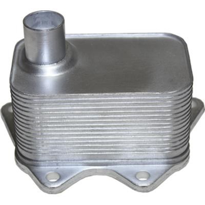 Birth 8961 Oil cooler 8961: Buy near me in Poland at 2407.PL - Good price!