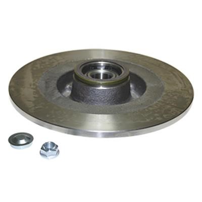 Birth 3491 Rear brake disc, non-ventilated 3491: Buy near me at 2407.PL in Poland at an Affordable price!