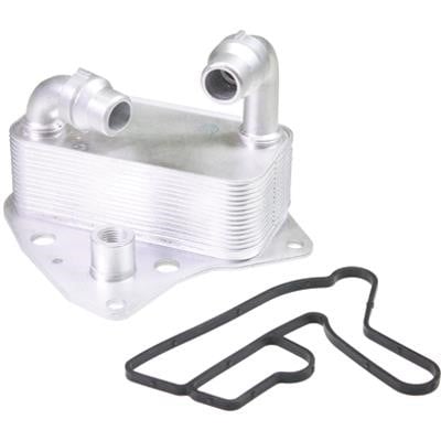 Birth 80771 Oil Cooler, engine oil 80771: Buy near me in Poland at 2407.PL - Good price!