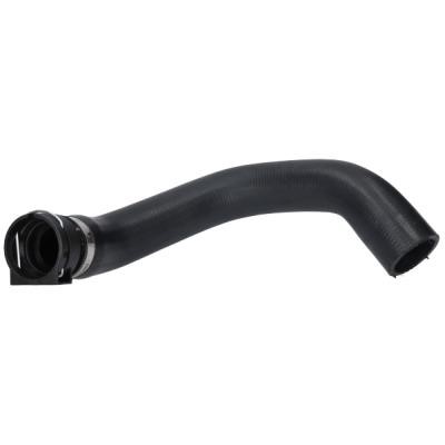 Birth 55426 Radiator hose 55426: Buy near me in Poland at 2407.PL - Good price!