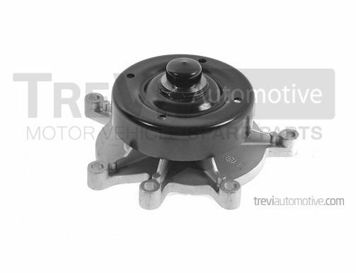 Trevi automotive TP5035 Pompa wodna TP5035: Dobra cena w Polsce na 2407.PL - Kup Teraz!