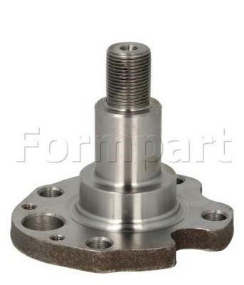 Otoform/FormPart 11498007/S Kingpin, axle beam 11498007S: Buy near me in Poland at 2407.PL - Good price!