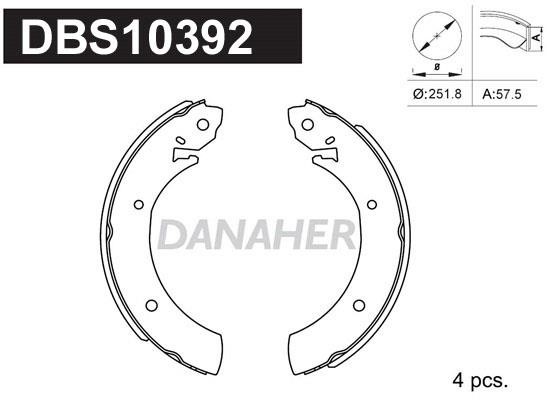 Danaher DBS10392 Brake shoe set DBS10392: Buy near me in Poland at 2407.PL - Good price!