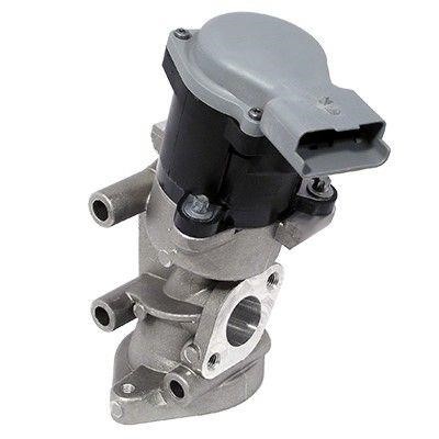 We Parts 330690609 EGR Valve 330690609: Buy near me in Poland at 2407.PL - Good price!