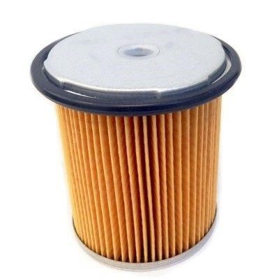 We Parts 4248 Fuel filter 4248: Buy near me in Poland at 2407.PL - Good price!