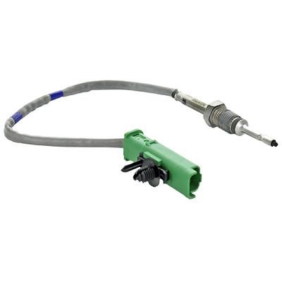 We Parts 411420866 Abgastemperatursensor 411420866: Bestellen Sie in Polen zu einem guten Preis bei 2407.PL!