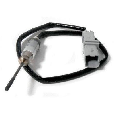 We Parts 411420003 Exhaust gas temperature sensor 411420003: Buy near me in Poland at 2407.PL - Good price!