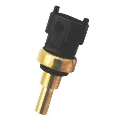 We Parts 410580171 Sensor, coolant temperature 410580171: Buy near me at 2407.PL in Poland at an Affordable price!