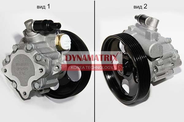 Dynamatrix DPSP019 Hydraulic Pump, steering system DPSP019: Buy near me in Poland at 2407.PL - Good price!