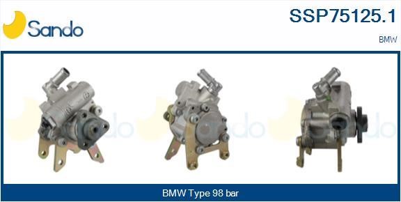 Sando SSP75125.1 Hydraulic Pump, steering system SSP751251: Buy near me in Poland at 2407.PL - Good price!