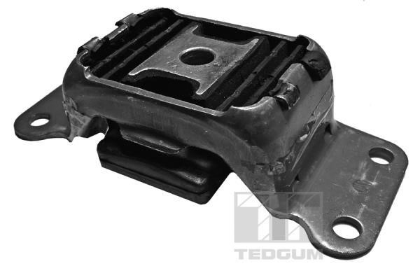 TedGum 00089499 Mounting, differential 00089499: Buy near me in Poland at 2407.PL - Good price!