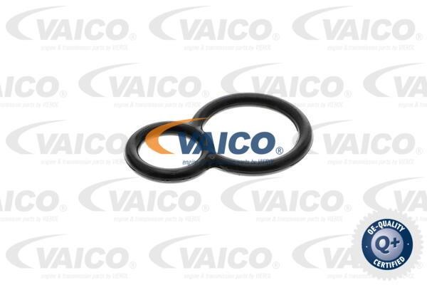 Czujnik ciśnienia oleju automatycznej skrzyni biegów Vaico V260227