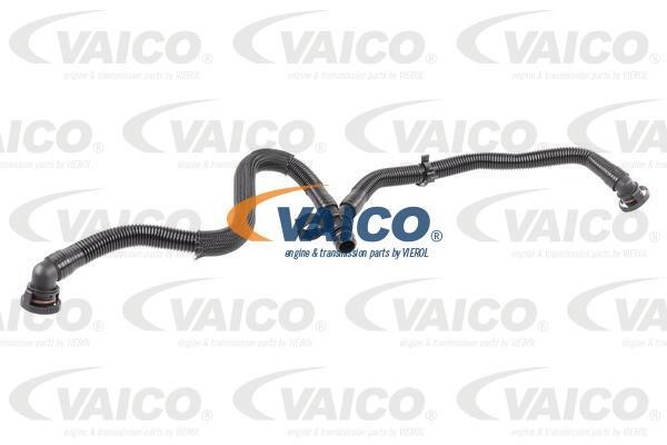 Vaico V10-5456 Hose, crankcase breather V105456: Buy near me in Poland at 2407.PL - Good price!
