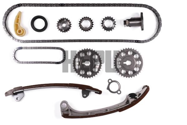 Hepu 210399 Timing chain kit 210399: Buy near me at 2407.PL in Poland at an Affordable price!