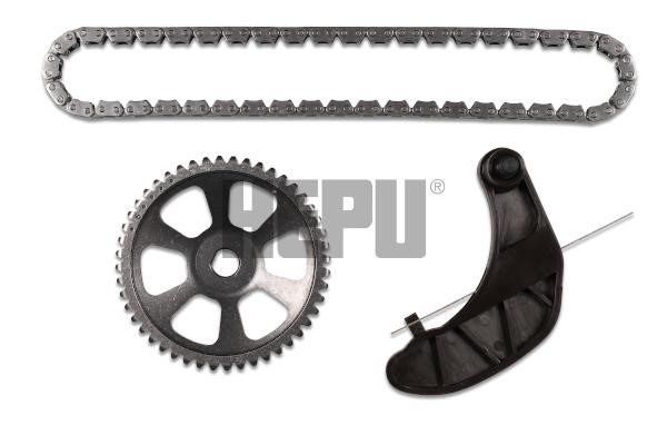 Hepu 21-0603 CHAIN OIL PUMP 210603: Buy near me in Poland at 2407.PL - Good price!