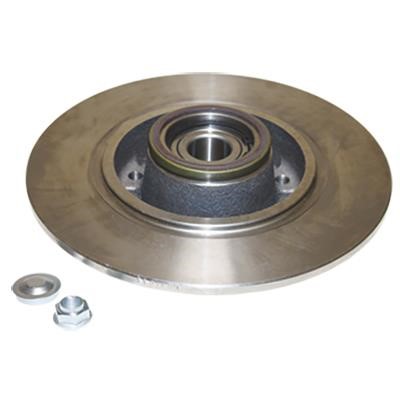 Birth 3485 Rear brake disc, non-ventilated 3485: Buy near me in Poland at 2407.PL - Good price!