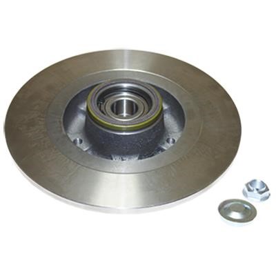 Birth 3487 Rear brake disc, non-ventilated 3487: Buy near me in Poland at 2407.PL - Good price!