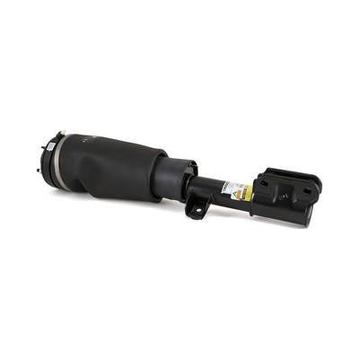 Arnott AS-2517 Front suspension shock absorber AS2517: Buy near me in Poland at 2407.PL - Good price!