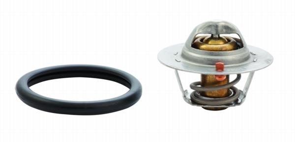 We Parts 421150169 Thermostat, coolant 421150169: Buy near me in Poland at 2407.PL - Good price!